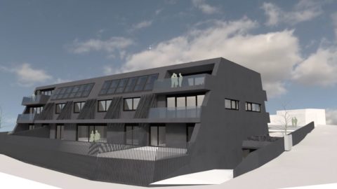 Erstentwurf Rendering Liechtensteinstraße 61